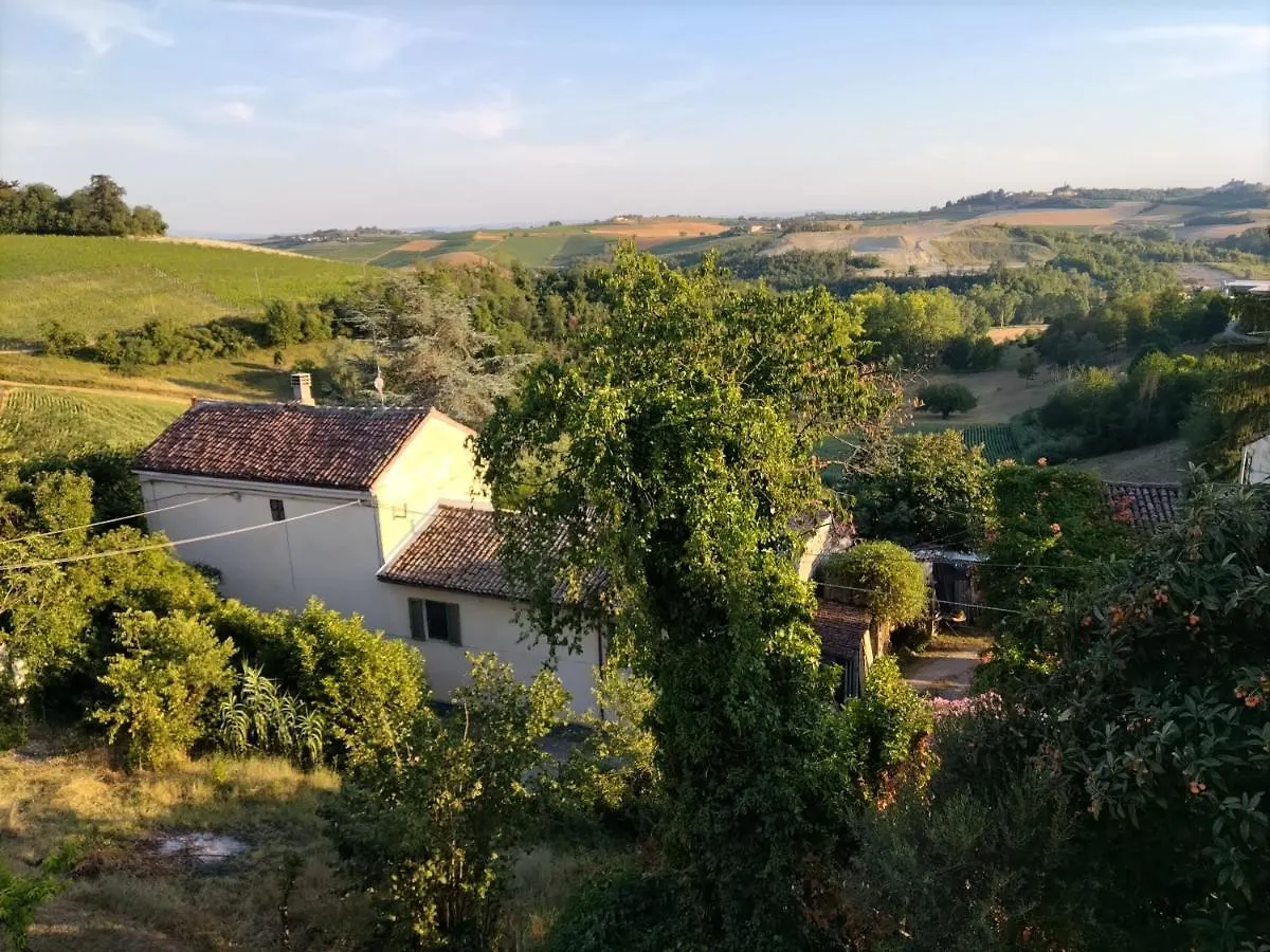 לינה וארוחת בוקר Olivola  La Casa Dei Limoni