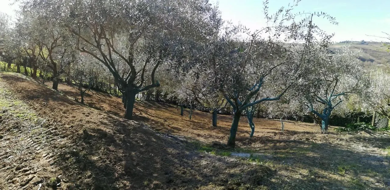 לינה וארוחת בוקר Olivola  La Casa Dei Limoni 0*, Olivola (Alessandria) איטליה